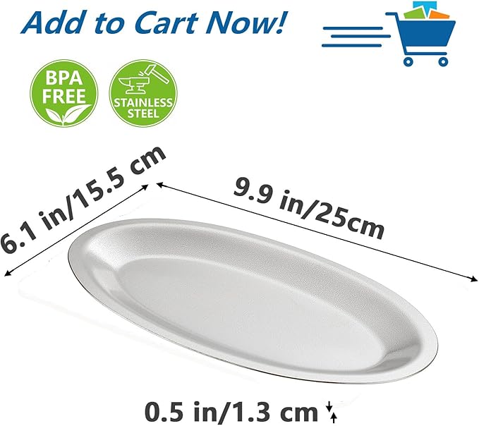 SANQIAHOME 9.9x6.1 Inch Thick Stainless Steel Dinner Plate 2-Piece Set, Egg-Shaped Appetizer Plate,Silver