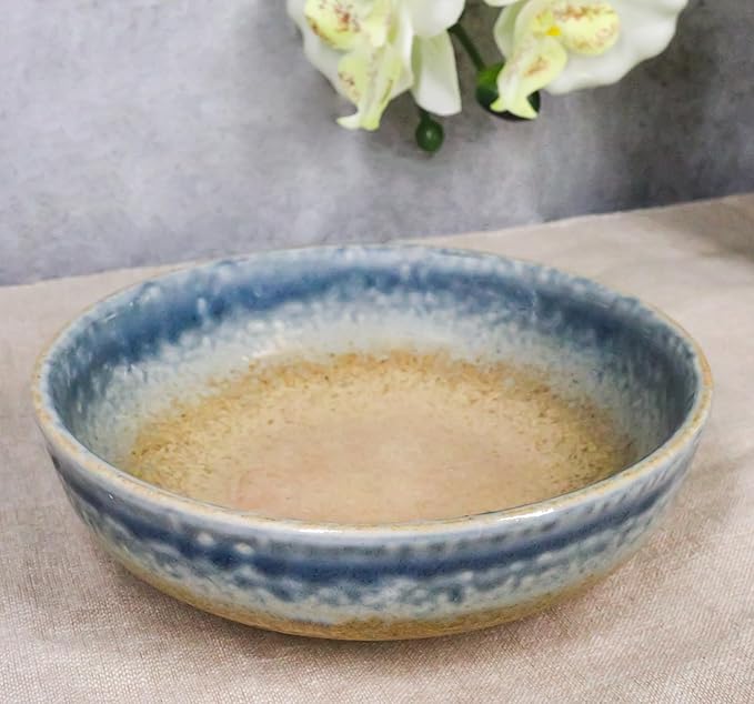 Ebros Gift Artistic Blue River Ao Nagashi Collection Dinnerware Serveware Kitchenware Set Asian Japanese Restaurant Supply (Pack Of 5 Shallow Bowl Deep Plates 10oz)