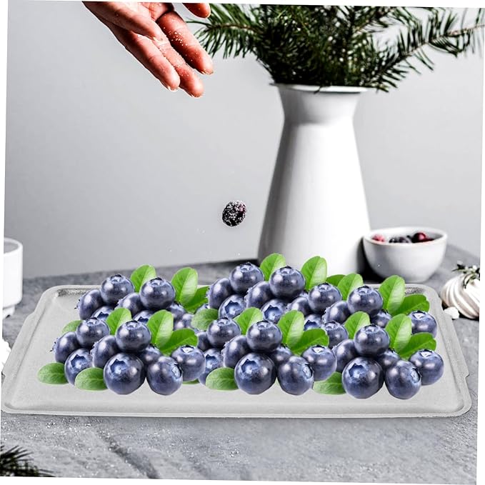 Mobestech Rectangular Serving Tray Practical Stainless for Desserts Snacks and Food Storage for Parties and Everyday Use