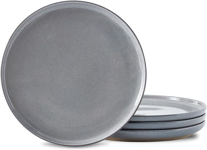 HASENSE Ceramic Dinner Plates Set – 10 Inch Premium Proclaim Dishes, 4 Piece Gray Plates Set Ideal for Serving Steak, Noodles or Pasta, Dishwasher Safe and Microwave Safe for Daily Dining