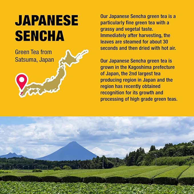 Tiesta Tea - Japanese Sencha Tea, Loose Leaf, Single Origin Premium Sencha Green Blend, Medium Caffeinated, Make Hot or Iced & Up to 50 Cups, Pure Unblended, 6oz Refillable Tin