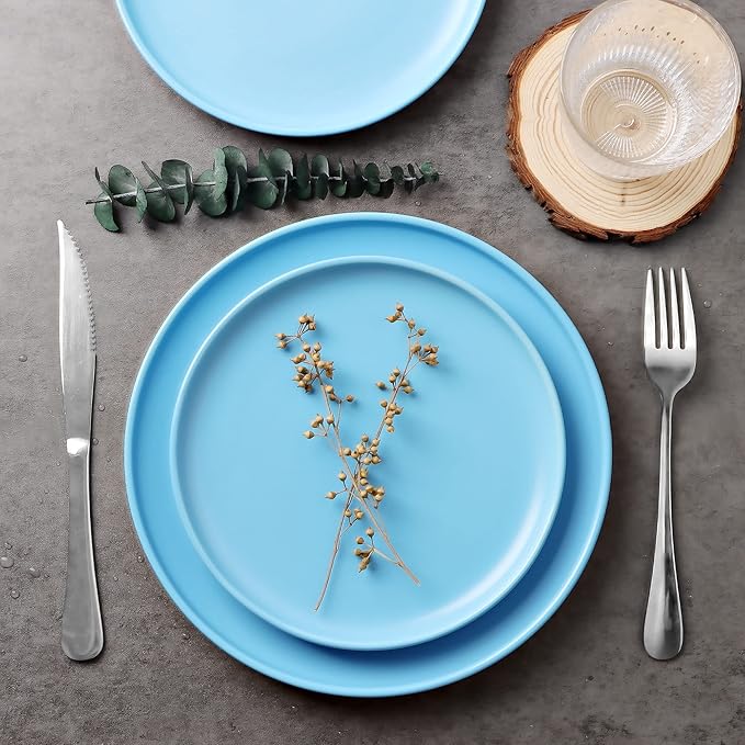 10 Inch Dinner Plates, Matte Blue Ceramic Plates Set of 3, Scratch, Microwave & Dishwasher Safe
