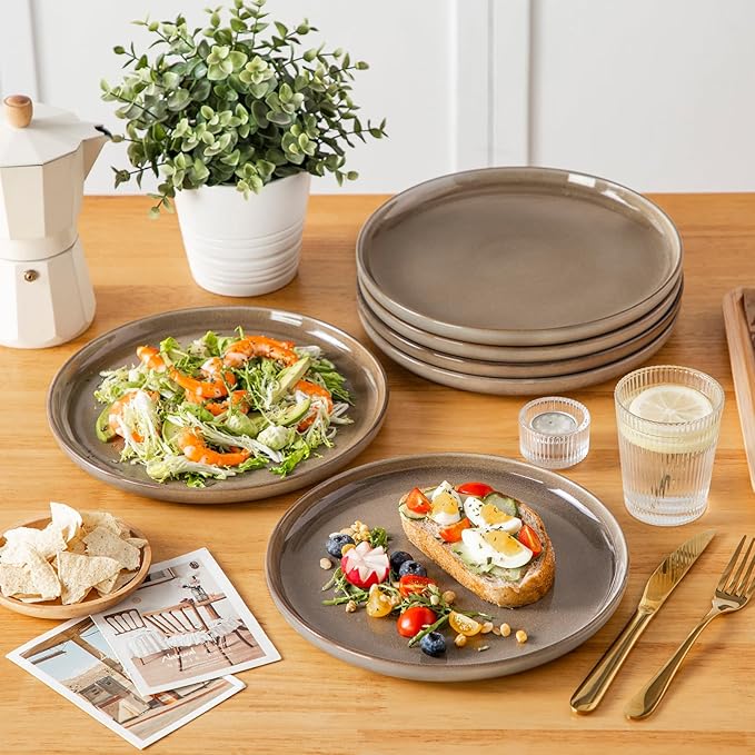 vancasso PLAYA Dinner Plates Set of 6, 10.25 Inch Ceramic Plates, Microwave, Oven and Dishwasher Safe Plates, Brown