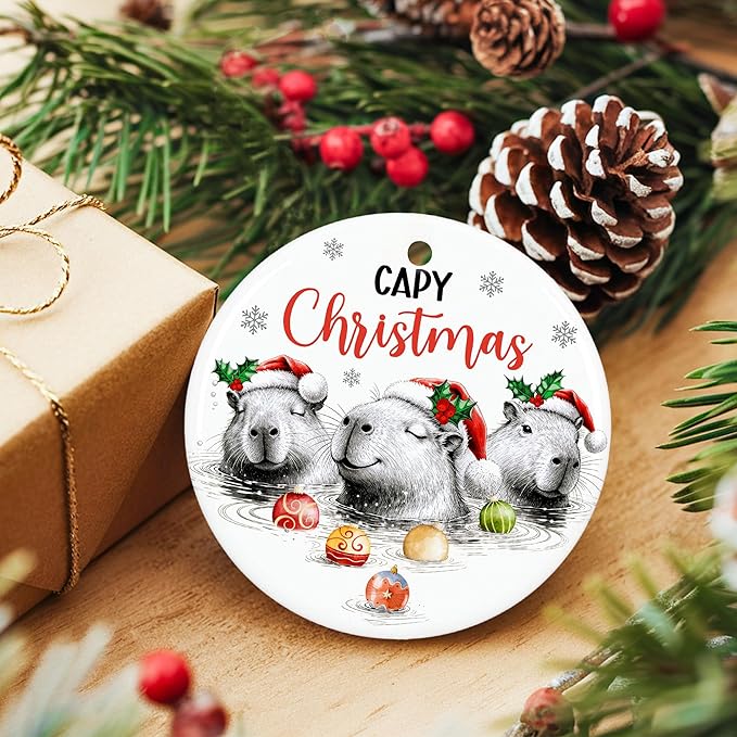 ZAGKOO Capybara Christmas Ornament 2025 - Capybaras Gifts for Capybara Lovers - Funny Animal Lovers Gift Ideas, Christmas Decorations - Holiday Presents, Ceramic Xmas Ornament Exchange