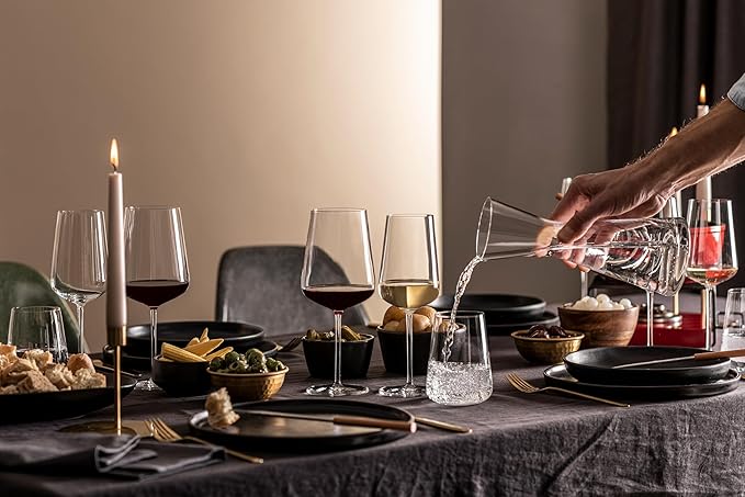 Zwiesel Glas Vervino German-Made Crystal Glass, 16 Ounce Stemless Wine (Set of 4), Clear
