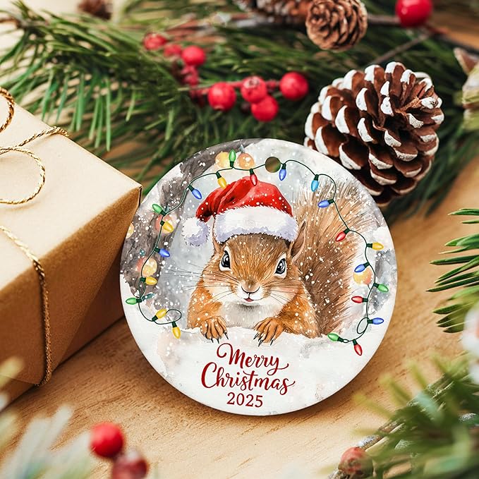 ZAGKOO Squirrel Christmas Ornament - Funny Squirrel Gifts for Squirrels Lovers, Animal Lover Gifts - Cute Squirrels Ornaments for Christmas Tree, Animal Presents - Ceramic Xmas Tree Holiday Decor 2025