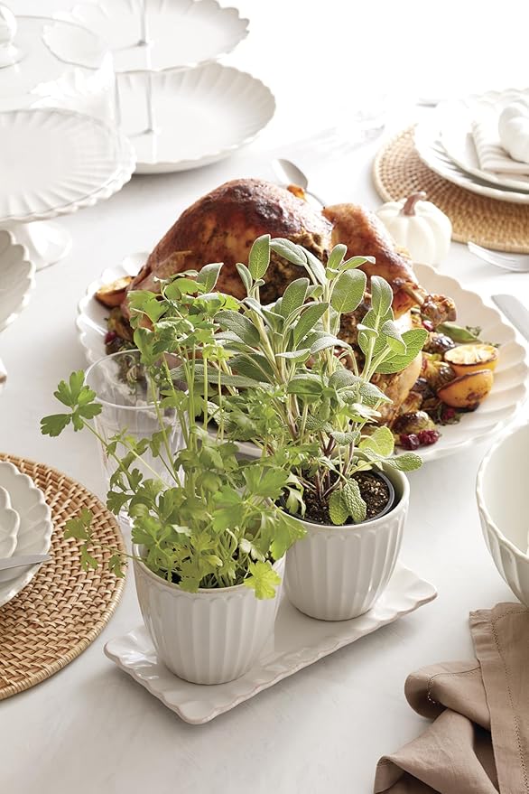 Lenox 896914 French Perle Scallop 3-Piece Herb Pots & Tray Set