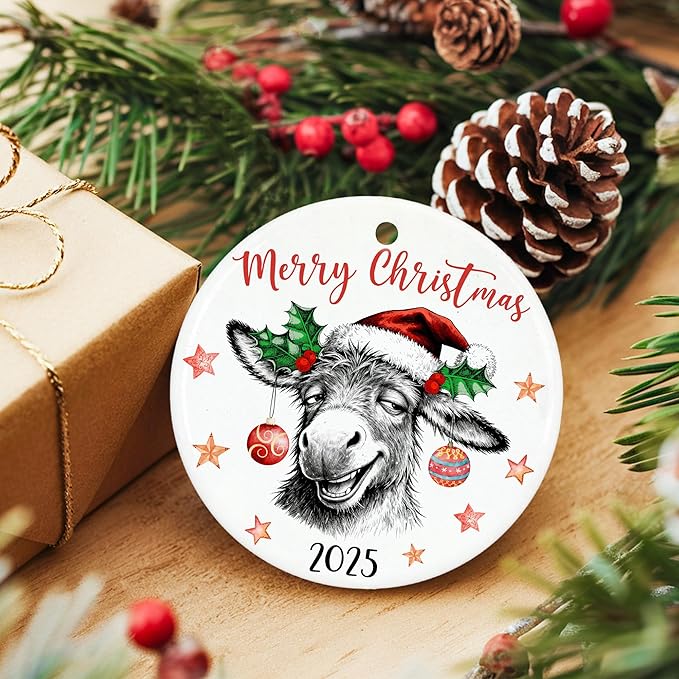 ZAGKOO Donkey Ornaments for Christmas Tree - Funny Donkeys Gifts for Women, Men, Farmers, Donkey Lovers - Funny Ornaments Exchange Ideas, Holiday Presents - Ceramic Xmas Tree Ornament Decoration