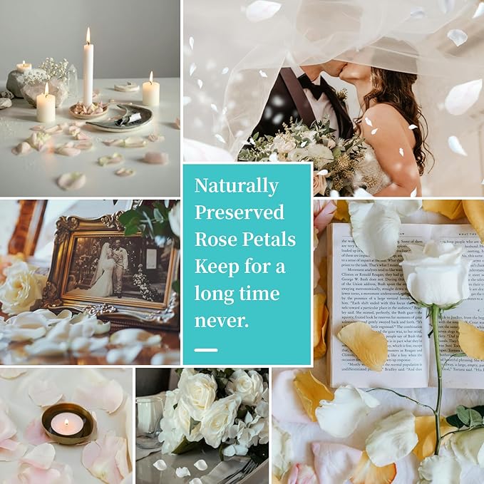 Real Dried Ivory White Rose Petals, Frozen Preserved Petals for, Wedding Party Decorations, Bio Confetti, Table Centerpieces, Bridal Shower, 1.58 oz / 45 g