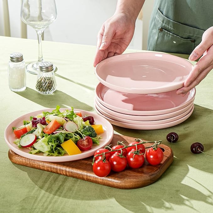 Salad&Dessert Plates,8 Inch Small Dinner Plates Sets for 4,Dishwasher & Microwave Safe,Porcelain Dinner Dishes for Cake, Fruits,Waffle, Pasta,Salad,Elegant Pink