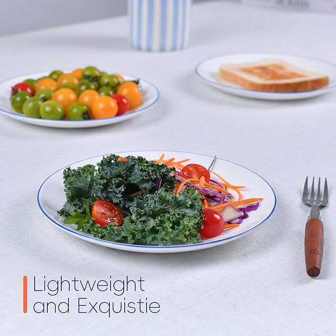 8.5 inch Salad Plate Set of 6, Lightweight Opal Glass Round White Plates for Appetizer Dessert Kitchen, Dishwasher and Microwave Safe, Hand Painted Navy Blue Rim