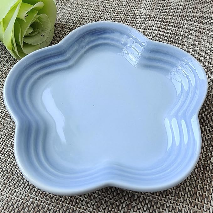 Sturdy Ceramics Small Plate Resists Stain Reduces Time Sturdy Serving Dishes for Daily Use Ceramics Dish