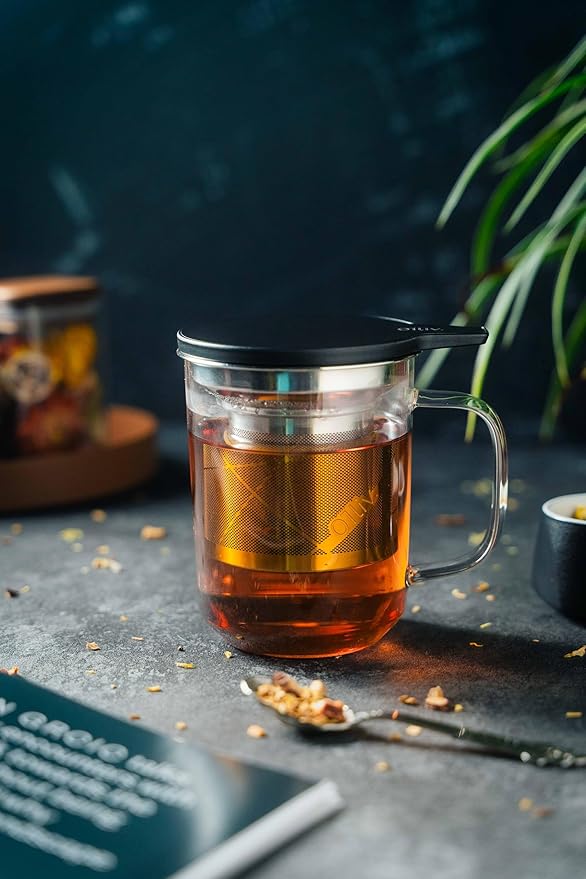 Glass Tea Cup with Infuser and Lid & Stainless Steel 400ml, Premium Borosilicate Tea Mug & Stainless Steel Filter, Heat-Resistant Brewing Set for Tea Lovers (Gift Ready Packaging)