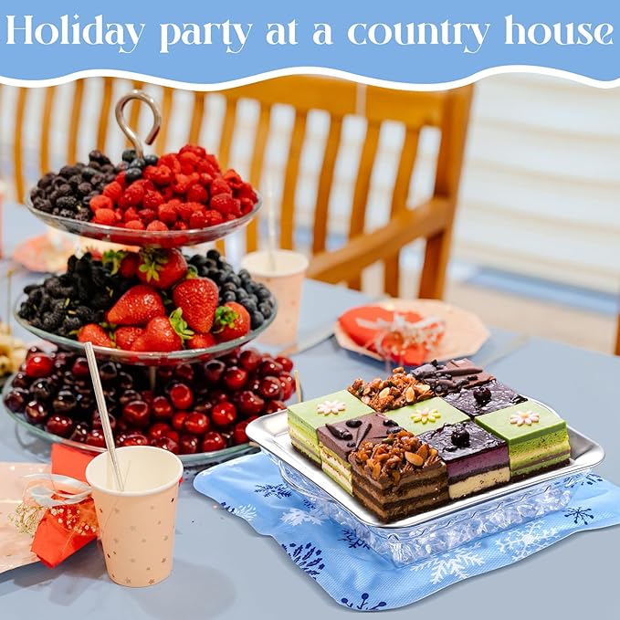 Meanplan 8 Pcs Chilled Serving Tray for Parties & Reusable Freezable Ice Mat Sheets for Coolers and 11.8" Ice Mat Chill for Food Trays 9" Cold Served Trays for Cheese Deli Meat Veggie Plates Picnics