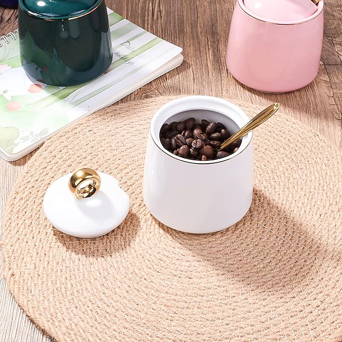 Ceramic Sugar Bowls with Stainless Steel Spoon Salt Bowl with Lid for Home and Kitchen White