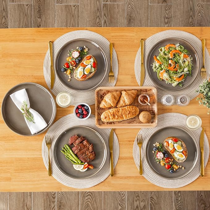 vancasso PLAYA Dinner Plates Set of 6, 10.25 Inch Ceramic Plates, Microwave, Oven and Dishwasher Safe Plates, Brown