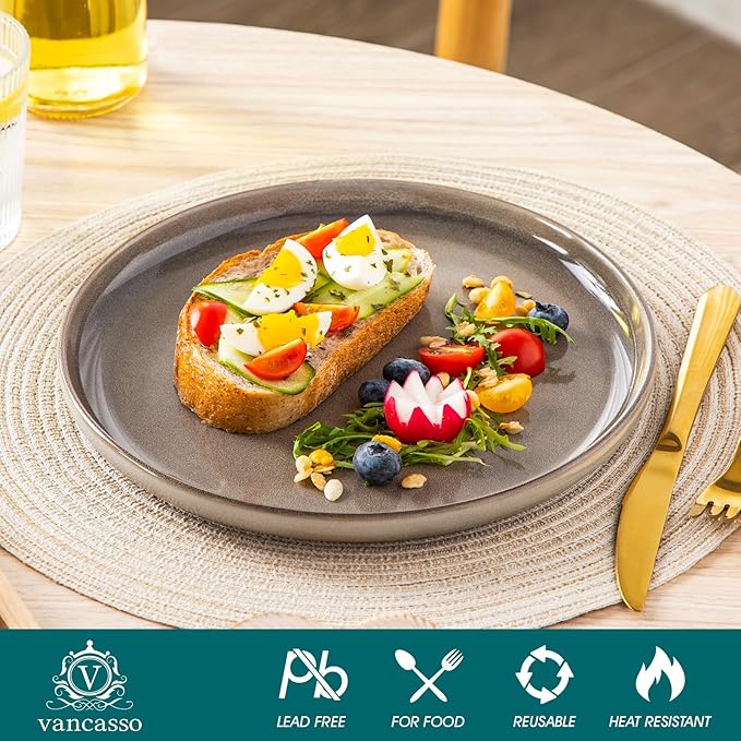 vancasso PLAYA Dinner Plates Set of 6, 10.25 Inch Ceramic Plates, Microwave, Oven and Dishwasher Safe Plates, Brown