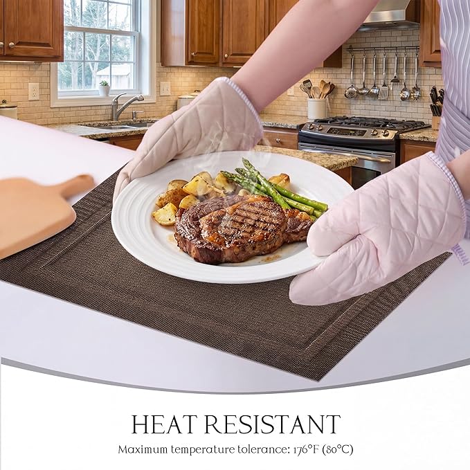 Placemats Set of 6-Heat Resistant Non-Slip Place Mats for Dining Table Kitchen, Washable Placemats Rectangular Brown