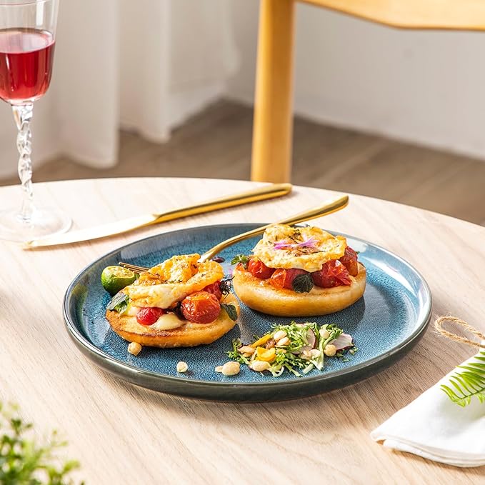 vancasso VAGE Dinner Plates Set of 6, 10.25 Inch Ceramic Plates, Microwave, Oven and Dishwasher Safe Plates, Blue
