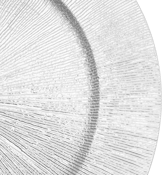 50 Pcs Antique Charger Plates Bulk 13 Inch Embossed Rim Plastic Party Dinner Plate Chargers Round Decorative Server Plate for Wedding Party Event Tableware (50pcs-Silver-2)