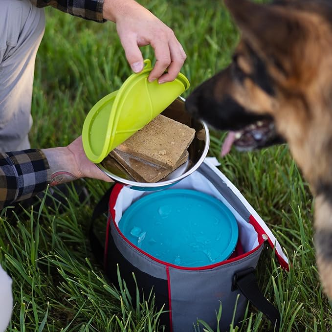 Messy Mutts 6-Piece Set | Three Stainless Steel Bowls and Three Colorful Silicone Lids | Sealable Travel Containers | Portable Food/Water Dishes for Pets | Extra-Large, 6 Cups