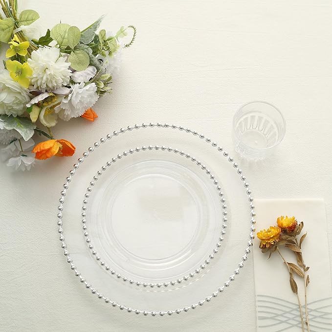 Efavormart 10 Pack | 8" Clear/Silver Beaded Rim Plastic Dinner Plates, Disposable Round Party Plates