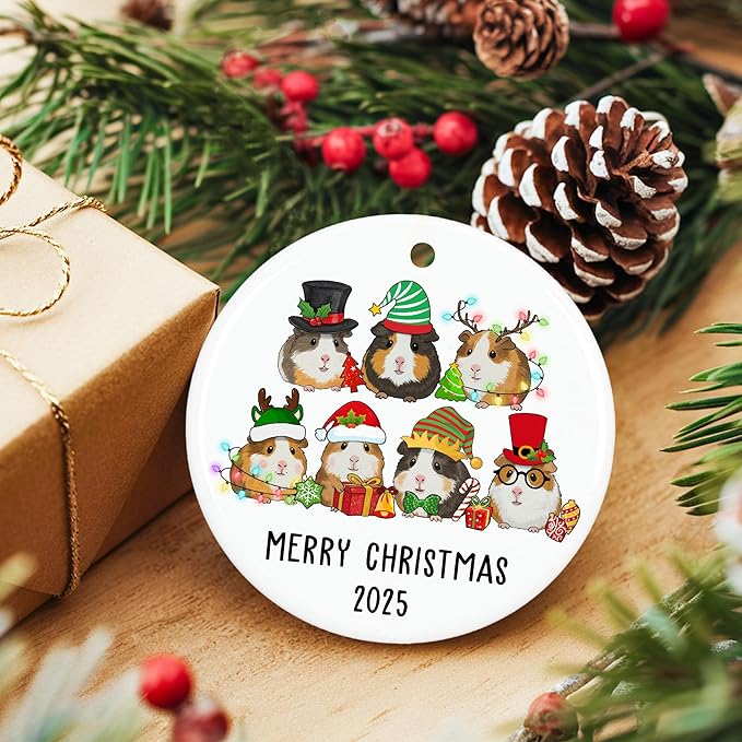 ZAGKOO Guinea Pig Christmas Ornament - Funny Guinea Pig Gifts - Cute Pet Ornaments for Christmas Tree, Animal Lover Gift Ideas - Ceramic Xmas Tree Ornaments Holiday Decor 2025