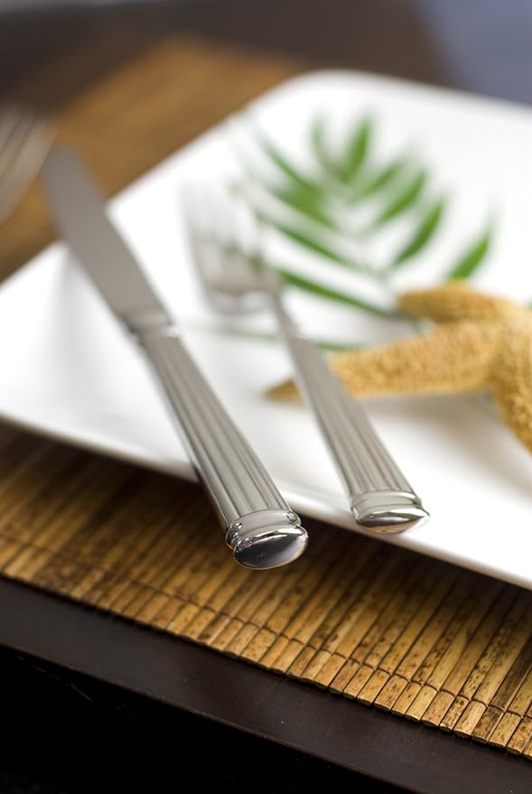 Fortessa Doria 18/10 Stainless Steel Flatware Solid Handle Table Knife, Set of 12