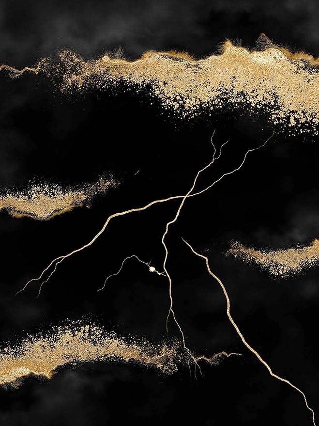 Luxury Black Gold Marbel Pattern Design Area Rug 2x6 for Living Room Bedroom Soft Non Skid Low Pile Big Rugs Under Dining Table Minimalist Floor Mats Nursery Farmhouse Modern Abstract Indoor Carpet