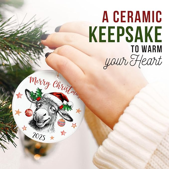 ZAGKOO Donkey Ornaments for Christmas Tree - Funny Donkeys Gifts for Women, Men, Farmers, Donkey Lovers - Funny Ornaments Exchange Ideas, Holiday Presents - Ceramic Xmas Tree Ornament Decoration