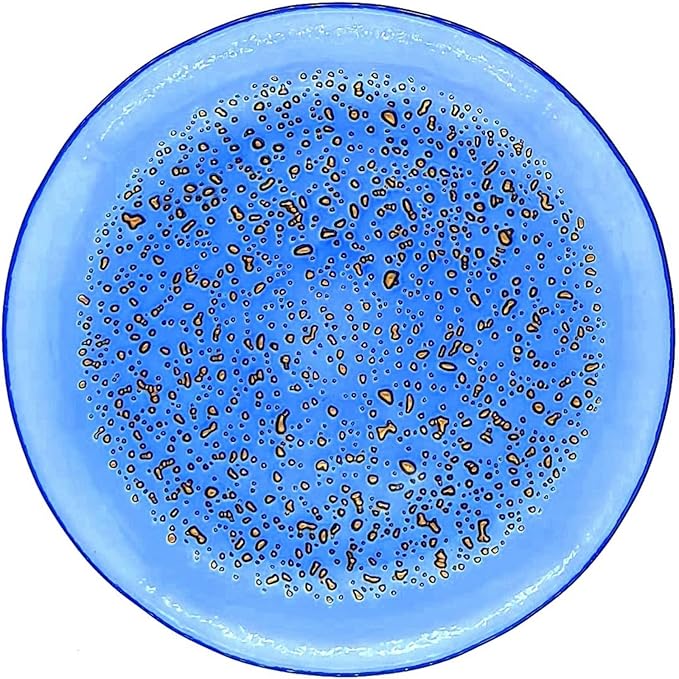 Red Pomegranate ISLA 7" Canape Plate Set of 4 Indigo/Bronze