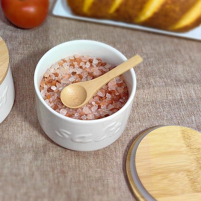 Salt Cellar with Lid and Spoon, 16 OZ Airtight Salt Container for Countertop, Ceramic Storage Container for Spices, White