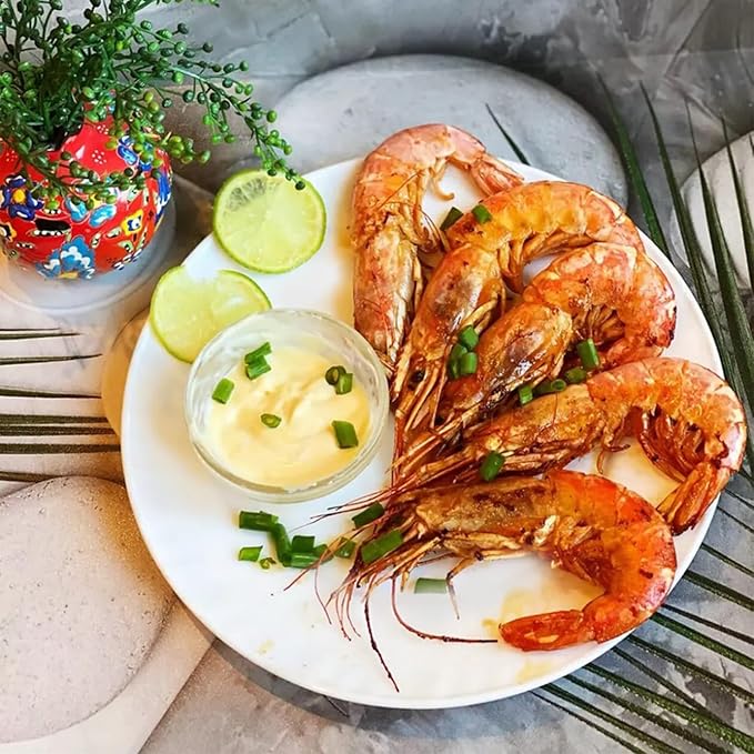 Ceramic Dinner Plates Set of 4, 10 inch White Ceramic Plates, Round Porcelain Dinner Plate Serving Dishes for Kitchen Microwave, Oven, Dishwasher Safe