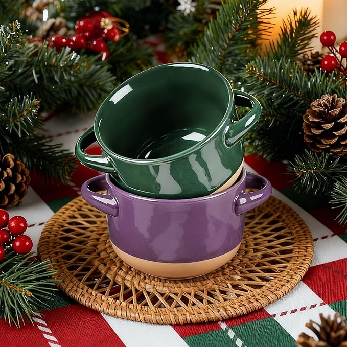 AmorArc 24 Ounces Soup Bowls with Large Handles and Lids, Stoneware Bowls Set of 2 for Soup, Cereal, Stew, Noodle, Colourful Ceramic Kitchen Bowls, Microwave&Dishwasher Safe, Green&Purple