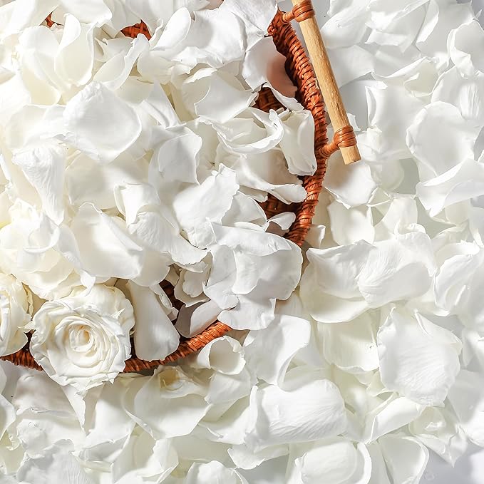 Real Dried Ivory White Rose Petals, Frozen Preserved Petals for, Wedding Party Decorations, Bio Confetti, Table Centerpieces, Bridal Shower, 1.58 oz / 45 g