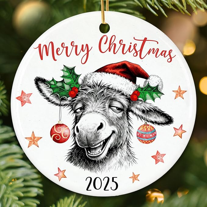 ZAGKOO Donkey Ornaments for Christmas Tree - Funny Donkeys Gifts for Women, Men, Farmers, Donkey Lovers - Funny Ornaments Exchange Ideas, Holiday Presents - Ceramic Xmas Tree Ornament Decoration
