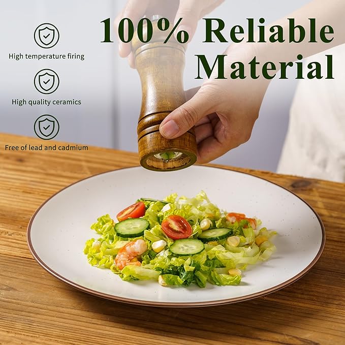 Ceramic Dinner Round Plates 6-Piece 10.28" Dinnerware Set, Large Round Plates, Serving Dishes, Chip and Scratch Resistant, Microwave Oven Dishwasher Safe, Vanilla White, Christmas Housewarming Gift