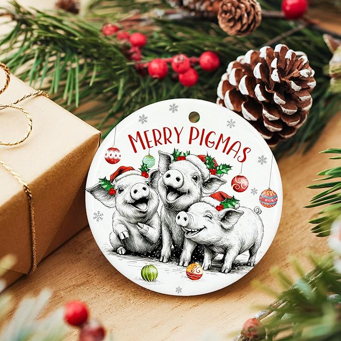 ZAGKOO Pig Christmas Ornament - Cute Pig Gifts for Women, Men - Pigs Lover Gift Ideas, Funny Animal Farm Ceramic Xmas Ornaments Tree Decorations