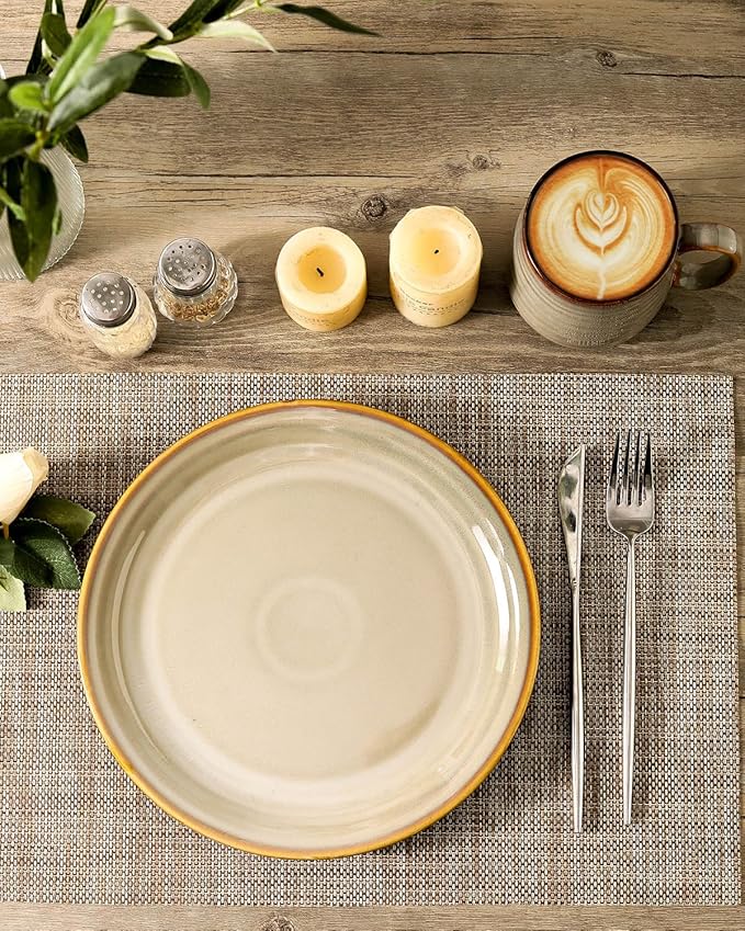 HASENSE Porcelain Dinnerware Set of 4, 10 Inch Ceramic Dinner Plates Set of 4 for Kitchen Counter, Large ceramic Dishes Set for Steak, Salad and Dinner, Microwave and Dishwasher Safe, Brown