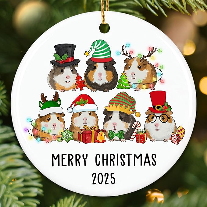 ZAGKOO Guinea Pig Christmas Ornament - Funny Guinea Pig Gifts - Cute Pet Ornaments for Christmas Tree, Animal Lover Gift Ideas - Ceramic Xmas Tree Ornaments Holiday Decor 2025