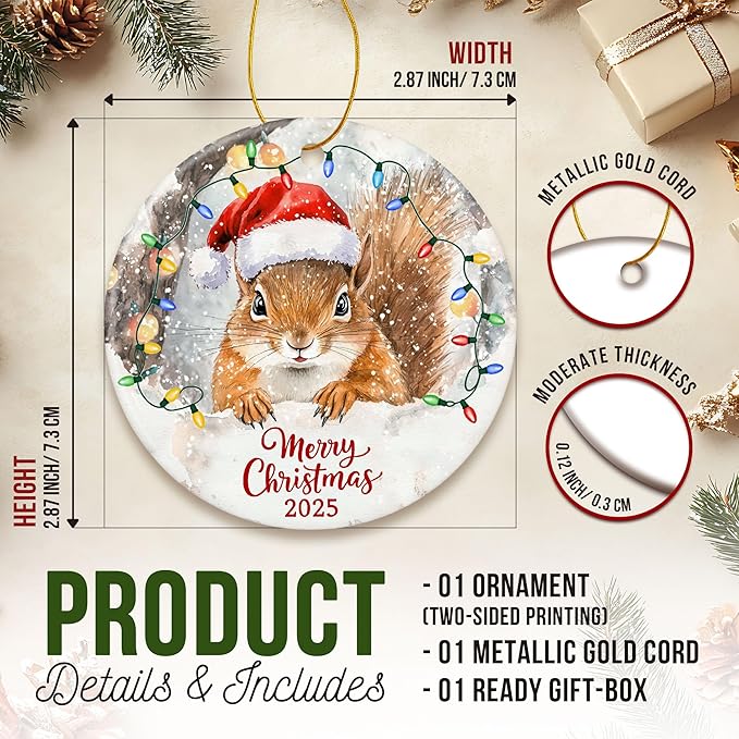ZAGKOO Squirrel Christmas Ornament - Funny Squirrel Gifts for Squirrels Lovers, Animal Lover Gifts - Cute Squirrels Ornaments for Christmas Tree, Animal Presents - Ceramic Xmas Tree Holiday Decor 2025