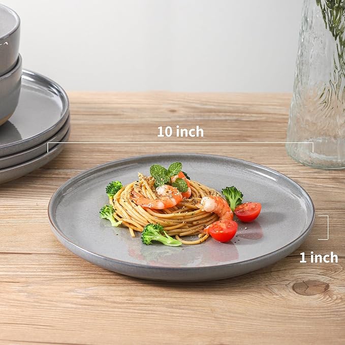 HASENSE Ceramic Dinner Plates Set – 10 Inch Premium Proclaim Dishes, 4 Piece Gray Plates Set Ideal for Serving Steak, Noodles or Pasta, Dishwasher Safe and Microwave Safe for Daily Dining