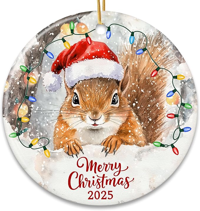 ZAGKOO Squirrel Christmas Ornament - Funny Squirrel Gifts for Squirrels Lovers, Animal Lover Gifts - Cute Squirrels Ornaments for Christmas Tree, Animal Presents - Ceramic Xmas Tree Holiday Decor 2025