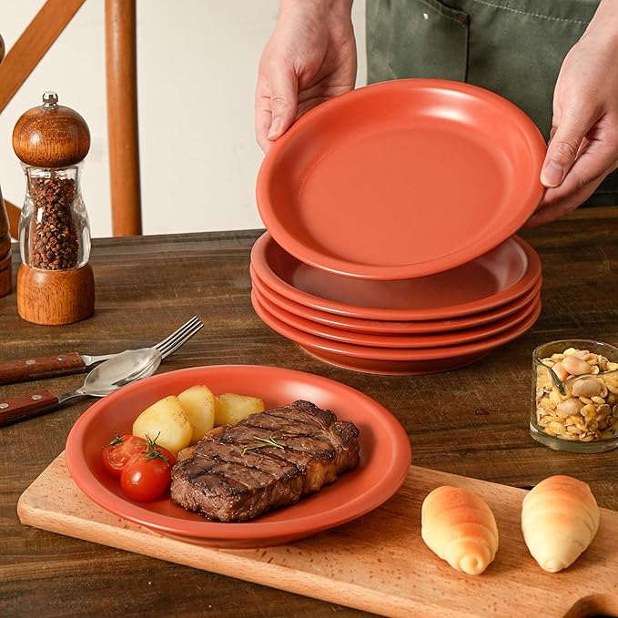 Salad & Dessert Plates, 8 Inch Small Dinner Plates Sets for 4, Dishwasher & Microwave Safe, Porcelain Dinner Dishes for Cake, Fruits, Waffle, Pasta, Salad, Terracotta Red