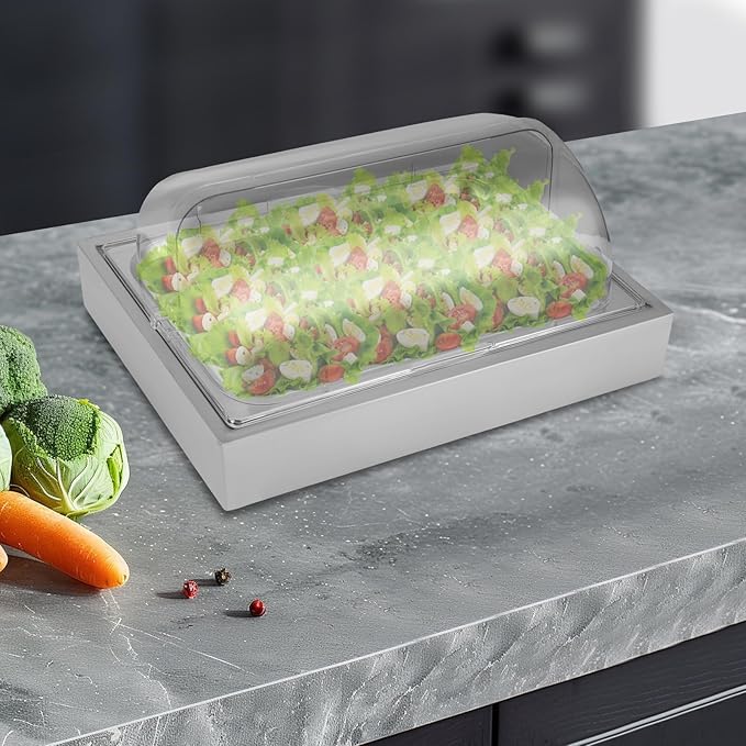 Ice Food Serving Display Tray Stainless Steel Buffet Dishes Display Plate Case with Clear Roll Top Countertop Food Serving Container for Seafood Fruit Salad (Silver, 22.05x14.17x10.63in)