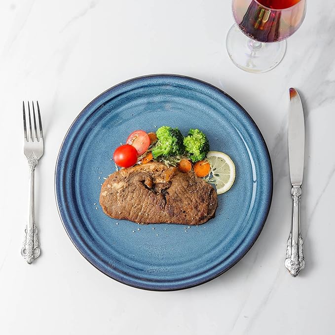 HASENSE Ceramic Dinner Plates Set of 4,10 Inch Large Porcelain Pasta and Salad Plates,Blue Stoneware Plate Set Microwave,Oven,and Dishwasher Safe