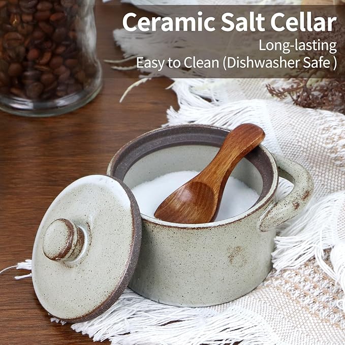 Speckled Ceramic Salt Cellar with Lid and Wooden Spoon, Rustic Spice Jar, Farmhouse Sugar Bowl for Sea Salt, Sugar, Spice and Kitchen Decor (Light Gray)