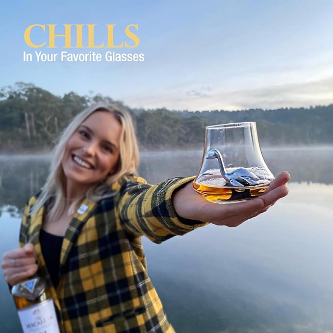 Loch Ness Whisky Chilling Stone – Stainless Steel Reusable Ice Cube | Novelty Bar Accessory for Father's Day, Whisky, Bourbon, Scotch & Cocktail Lovers (Classic Box)