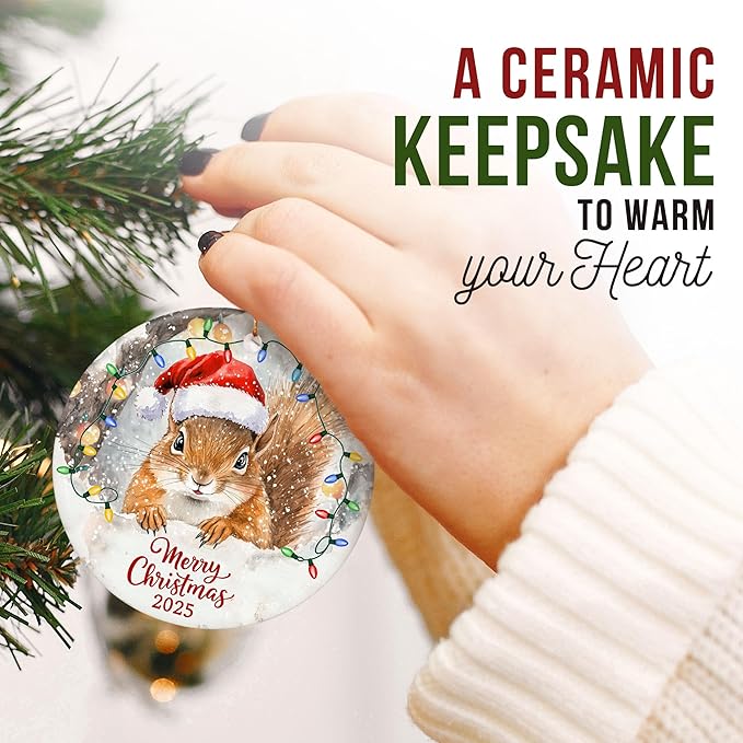 ZAGKOO Squirrel Christmas Ornament - Funny Squirrel Gifts for Squirrels Lovers, Animal Lover Gifts - Cute Squirrels Ornaments for Christmas Tree, Animal Presents - Ceramic Xmas Tree Holiday Decor 2025