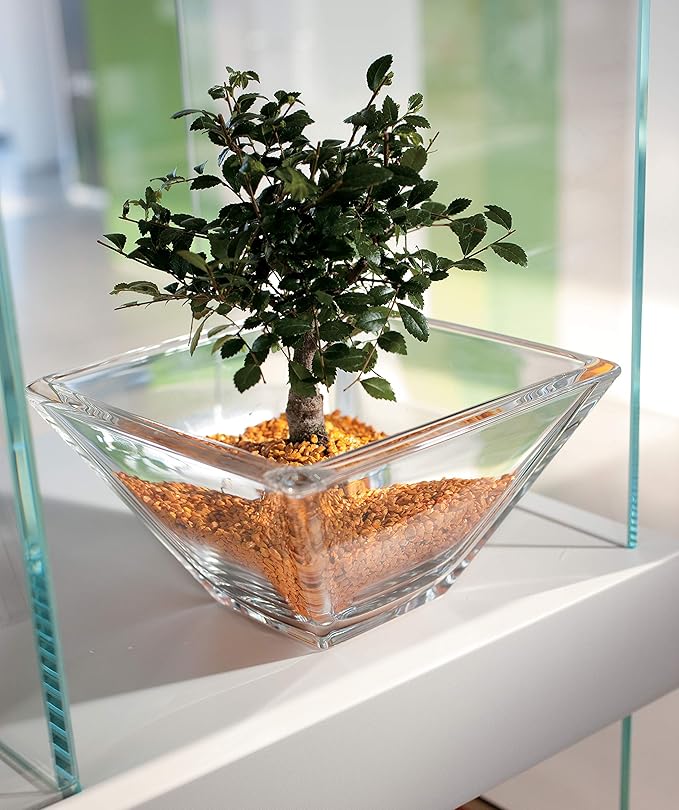 Barski - European Glass - Square - Bowl - 7.7" Diameter - Made in Europe